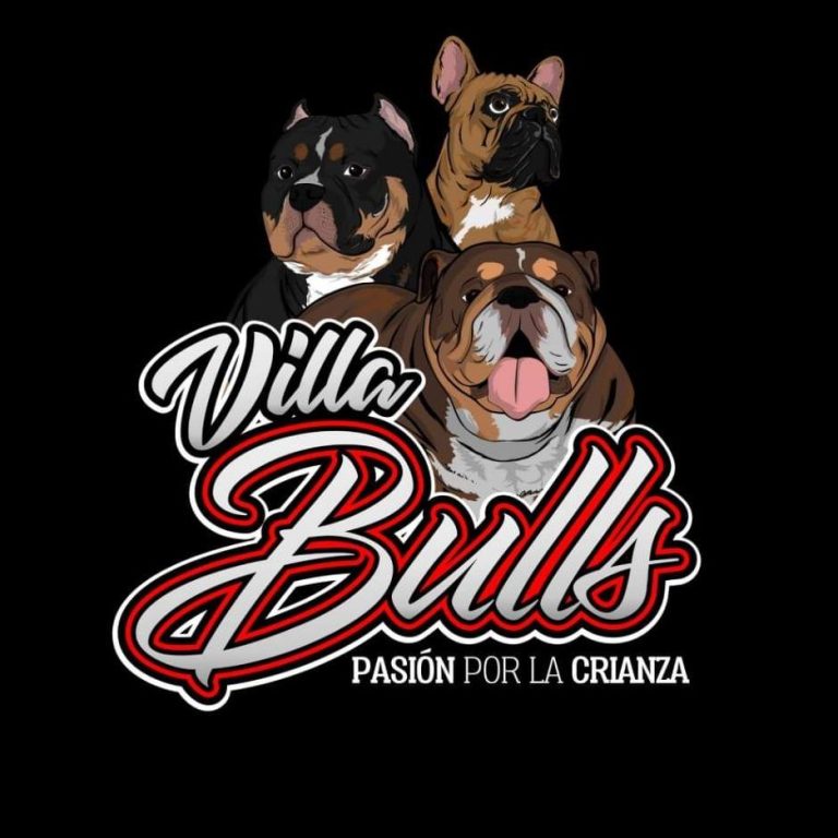 301159197 738044200946226 7055656308823450811 n 1 768x768