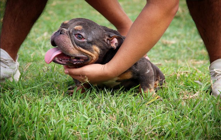 Imagen de WhatsApp 2023 06 06 a las 12.17.02 1 768x487