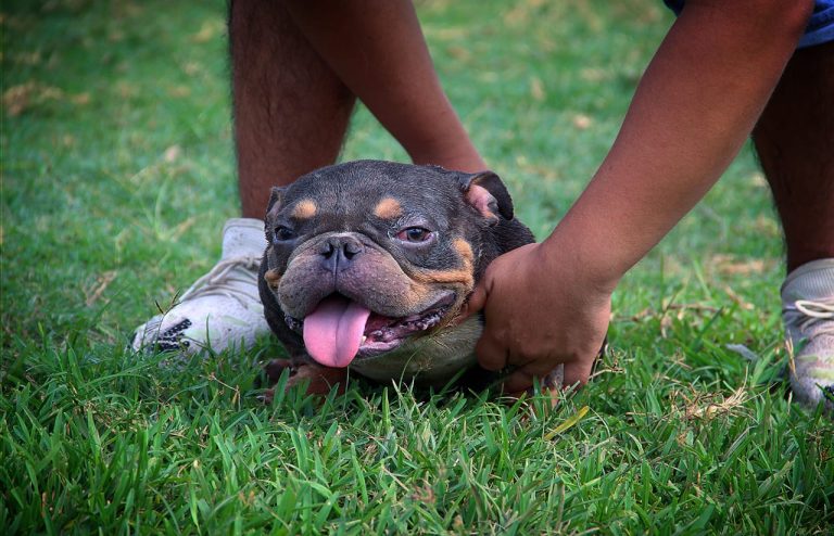 Imagen de WhatsApp 2023 06 06 a las 12.17.02 768x494