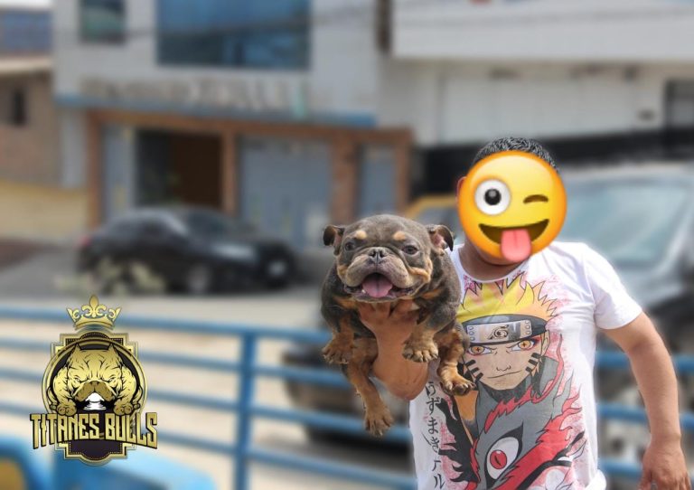 Imagen de WhatsApp 2023 06 06 a las 12.17.03 1 768x542