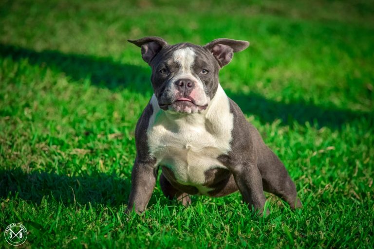 Imagen de WhatsApp 2023 06 06 a las 12.30.07 1 768x512