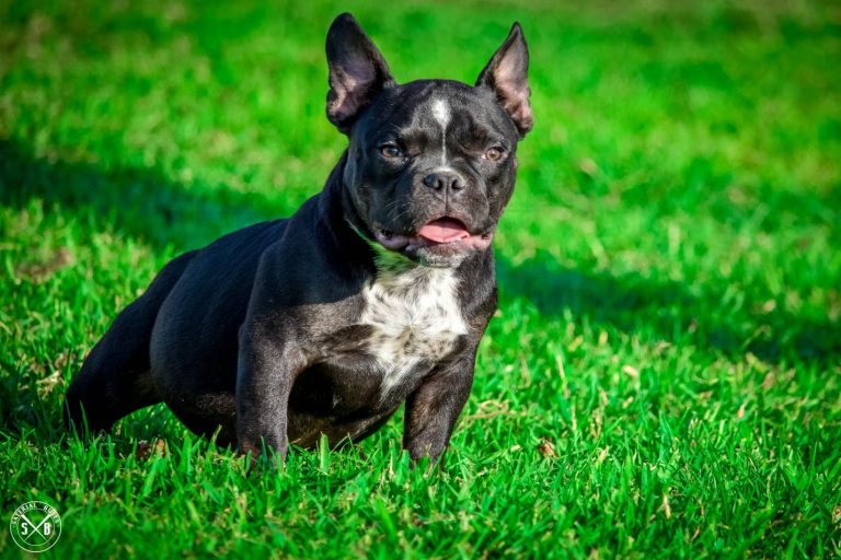 Imagen de WhatsApp 2023 06 06 a las 12.30.08 768x512