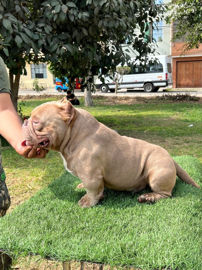 Imagen de WhatsApp 2023 06 06 a las 13.30.18 768x1024