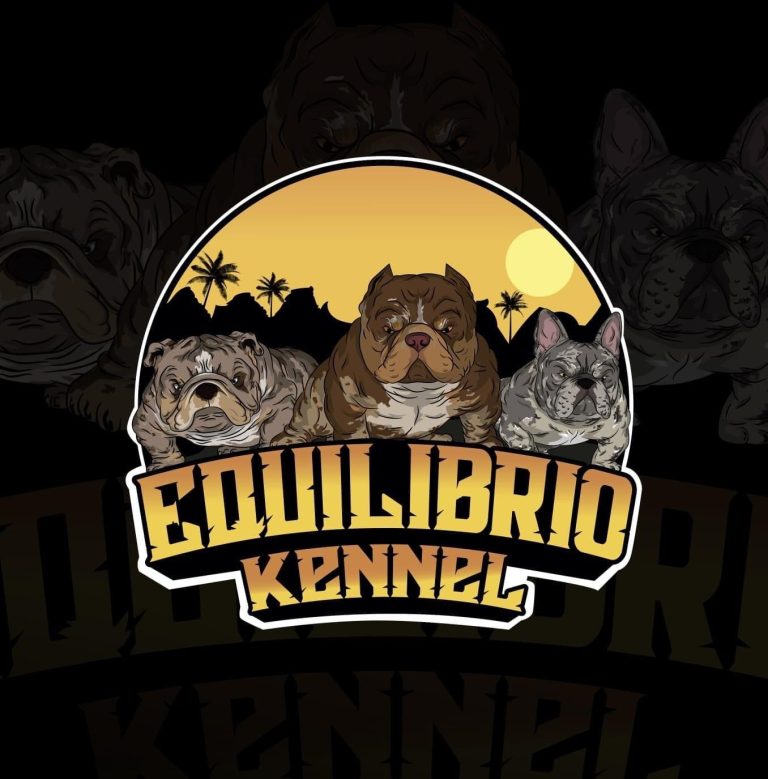 Imagen de WhatsApp 2023 06 06 a las 13.30.19 768x779