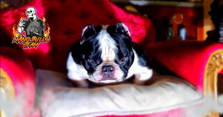 Imagen de WhatsApp 2023 06 06 a las 15.34.31 2 768x403