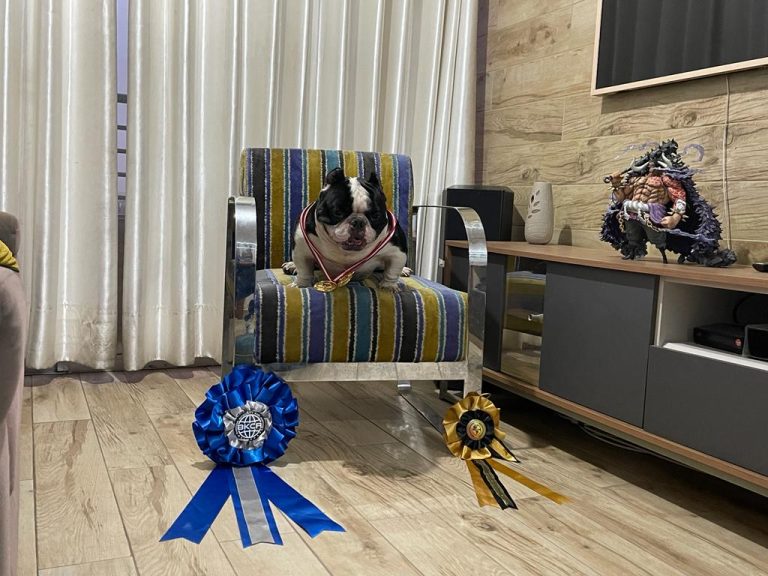 Imagen de WhatsApp 2023 06 06 a las 15.34.31 768x576