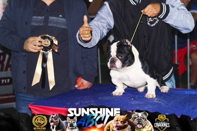 Imagen de WhatsApp 2023 06 06 a las 15.34.32 1 768x512