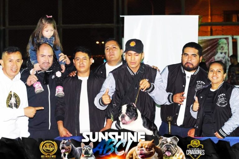 Imagen de WhatsApp 2023 06 06 a las 15.34.32 768x512