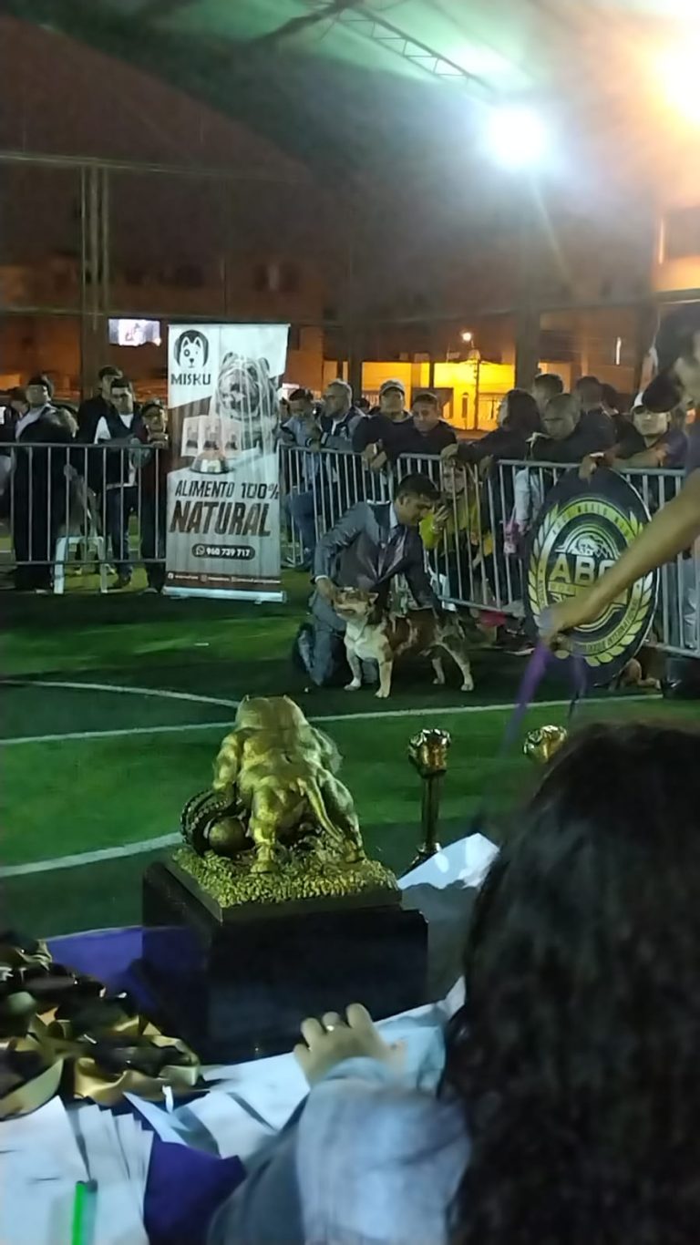 Imagen de WhatsApp 2023 06 07 a las 09.44.37 768x1366