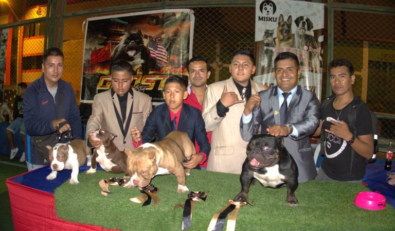 Imagen de WhatsApp 2023 06 07 a las 09.44.38 768x449