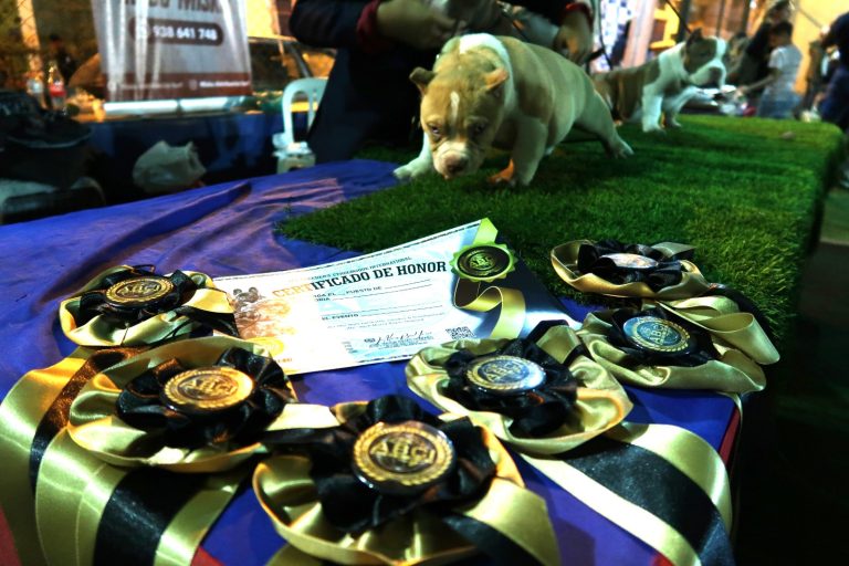 Imagen de WhatsApp 2023 06 07 a las 09.44.39 768x512