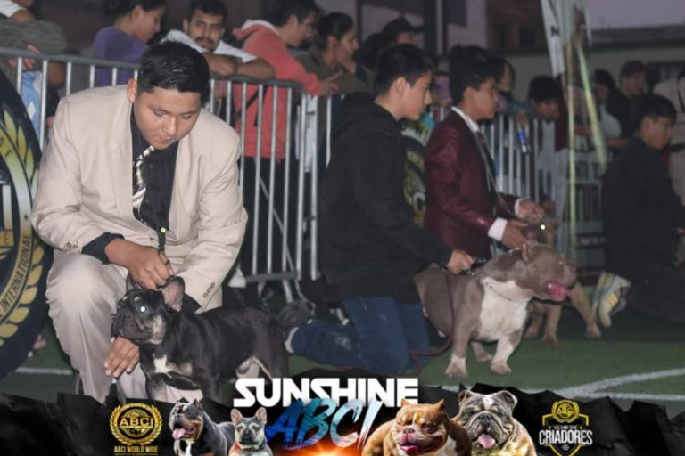 Imagen de WhatsApp 2023 06 07 a las 09.46.04 768x512