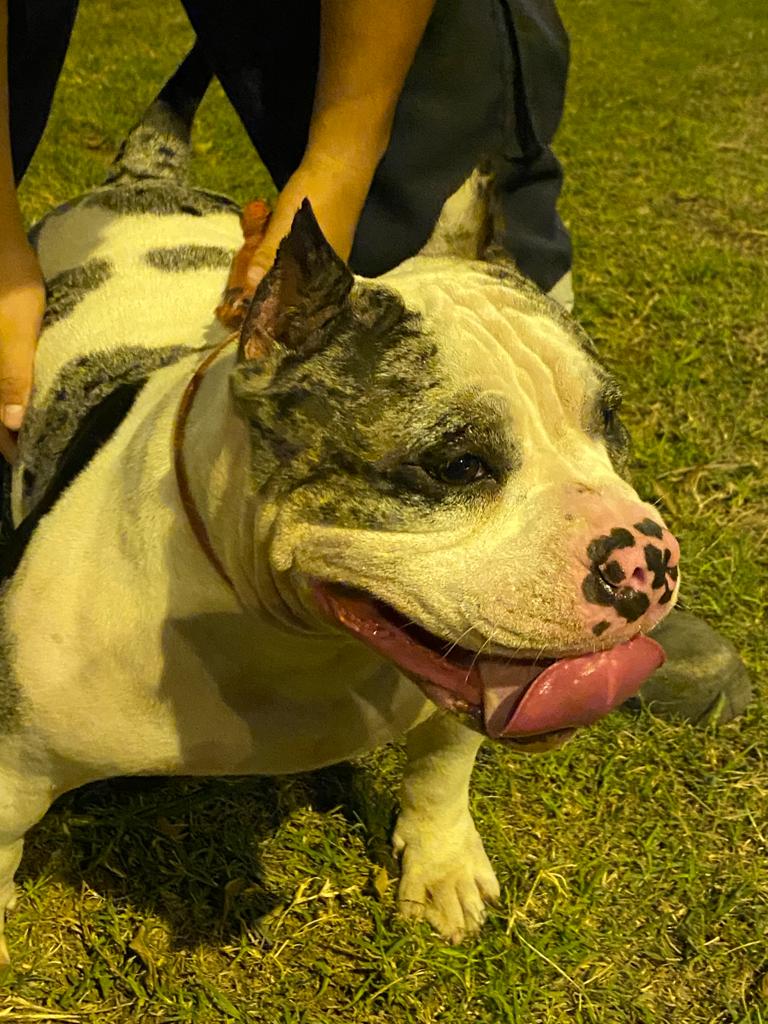 Imagen de WhatsApp 2023 06 15 a las 12.45.00