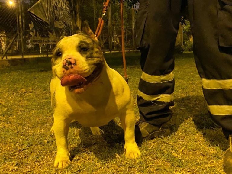 Imagen de WhatsApp 2023 06 15 a las 12.45.01 1 768x576