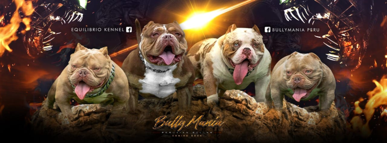 imagen 2023 06 06 201226660 768x284