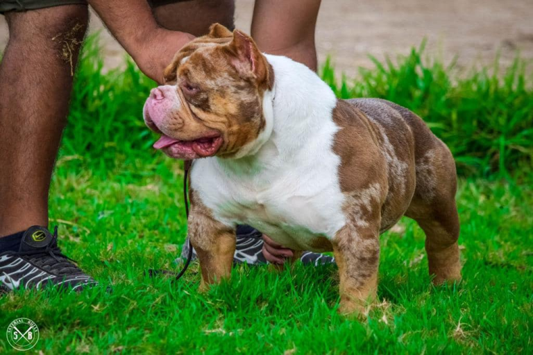 imagen 2023 06 06 201256856 768x512