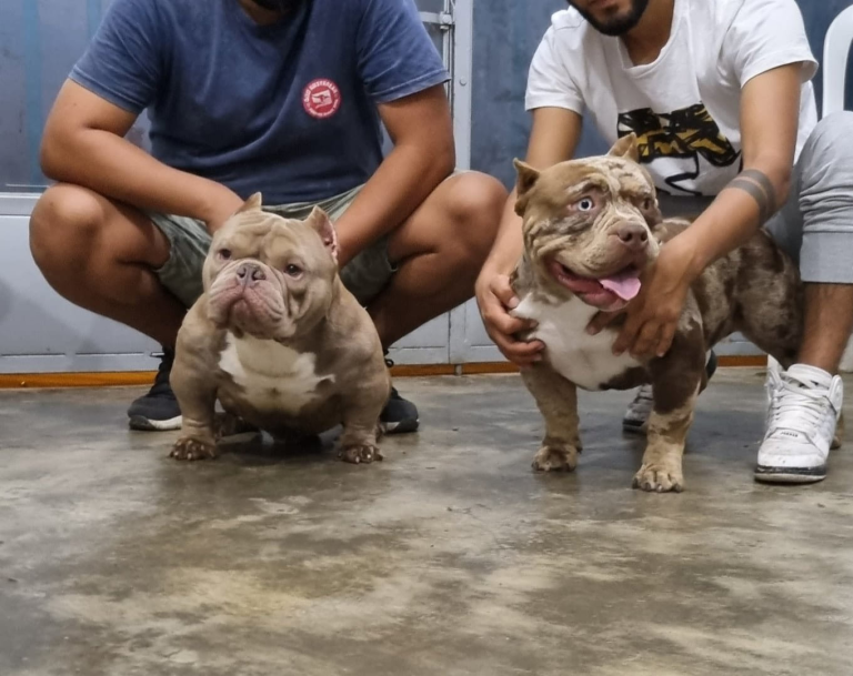 imagen 2023 06 06 201759389 768x609