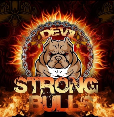 imagen 2023 06 06 203247609