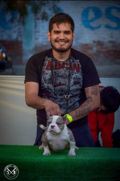 imagen 2023 06 06 203428207