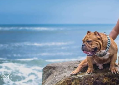 imagen 2023 06 06 203443945