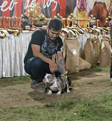 imagen 2023 06 06 203512015