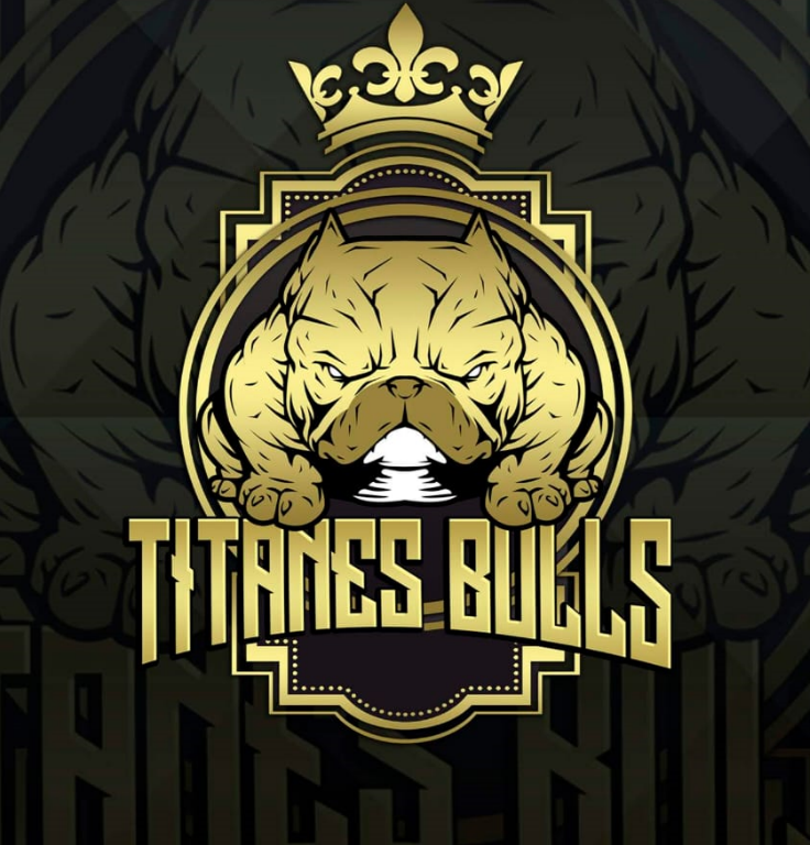 imagen 2023 06 06 205028538