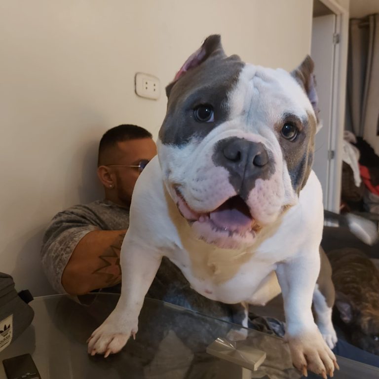 WhatsApp Image 2023 07 26 at 11.19.06 AM 768x768