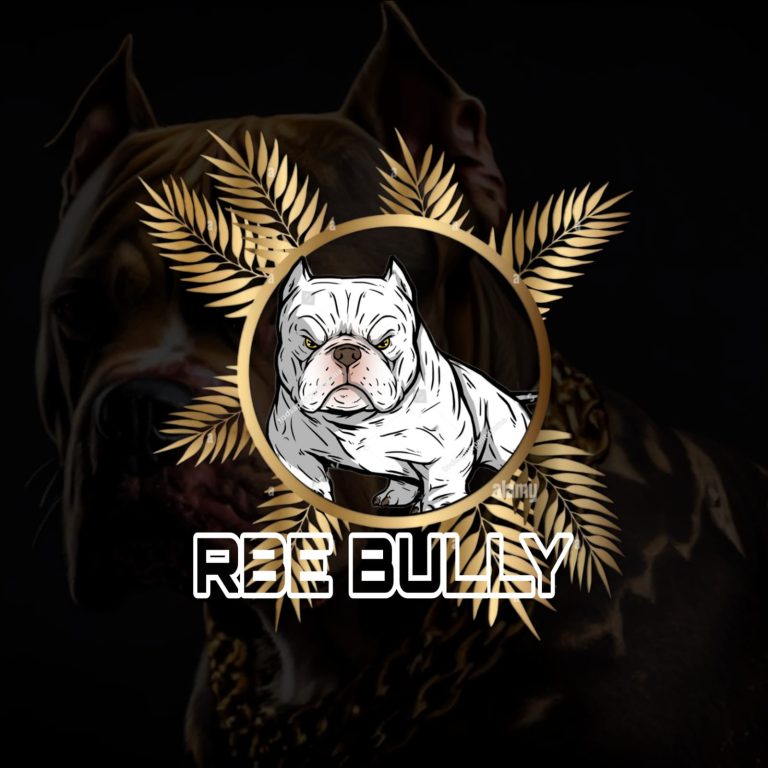 WhatsApp Image 2023 08 01 at 7.13.42 PM 768x768