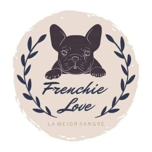 WhatsApp Image 2023 08 01 at 7.55.50 PM