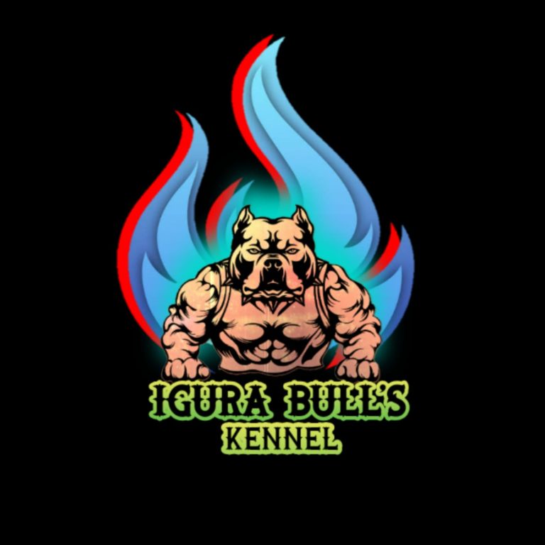 WhatsApp Image 2023 08 09 at 6.44.53 PM 768x768